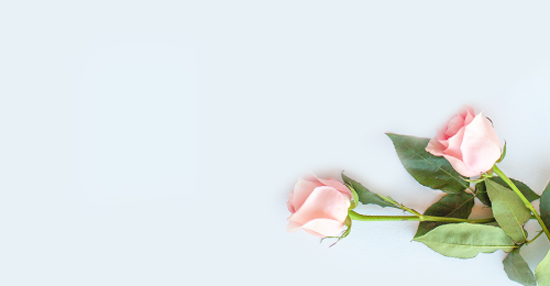 Sympathy Flowers Streatham